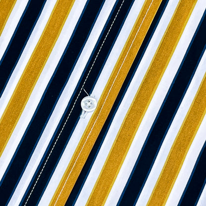 Men’s Custom Fit PC05 Striped Shirt